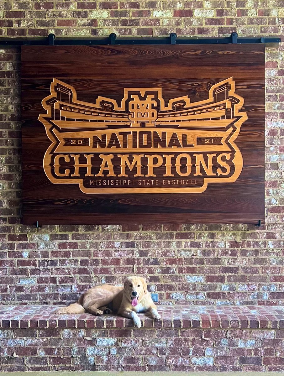 Emmie Perkins tweet media