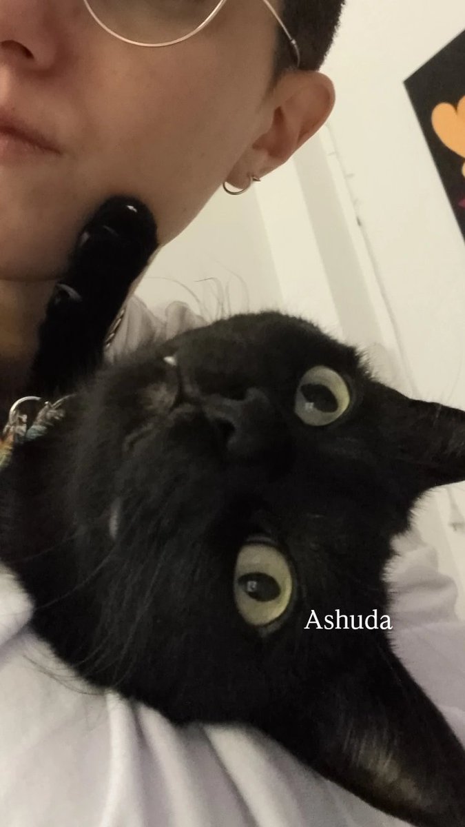 Hey fam! mind giving my pinned tweet a quick RT? Orión and I would really appreciate it! ✨🐈‍⬛
