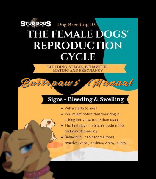 𝐎𝐧𝐜𝐞 𝐇𝐞𝐫 𝐌𝐚𝐬𝐭𝐞𝐫 𝐑𝐞𝐭𝐮𝐫𝐧𝐞𝐝 𝐅𝐫𝐨𝐦 𝐡𝐢𝐬 𝐆𝐚𝐥𝐚𝐯𝐚𝐧𝐭𝐢𝐧𝐠 𝐰𝐢𝐭𝐡 𝐡𝐢𝐬 𝐇𝐮𝐦𝐚𝐧 𝐖𝐡𝐨𝐫𝐞𝐬, 𝐒𝐡𝐞 𝐖𝐨𝐮𝐥𝐝 𝐁𝐞 𝐖𝐚𝐢𝐭𝐢𝐧𝐠 𝐟𝐨𝐫 𝐇𝐢𝐦, 𝐖𝐢𝐭𝐡 𝐚𝐧 𝐈𝐧𝐬𝐭𝐫𝐮𝐜𝐭𝐢𝐨𝐧 𝐌𝐚𝐧𝐮𝐚𝐥..

✨#SexRP+#LewdRP+#FurryRP✨
✨#Buttrpawed✨