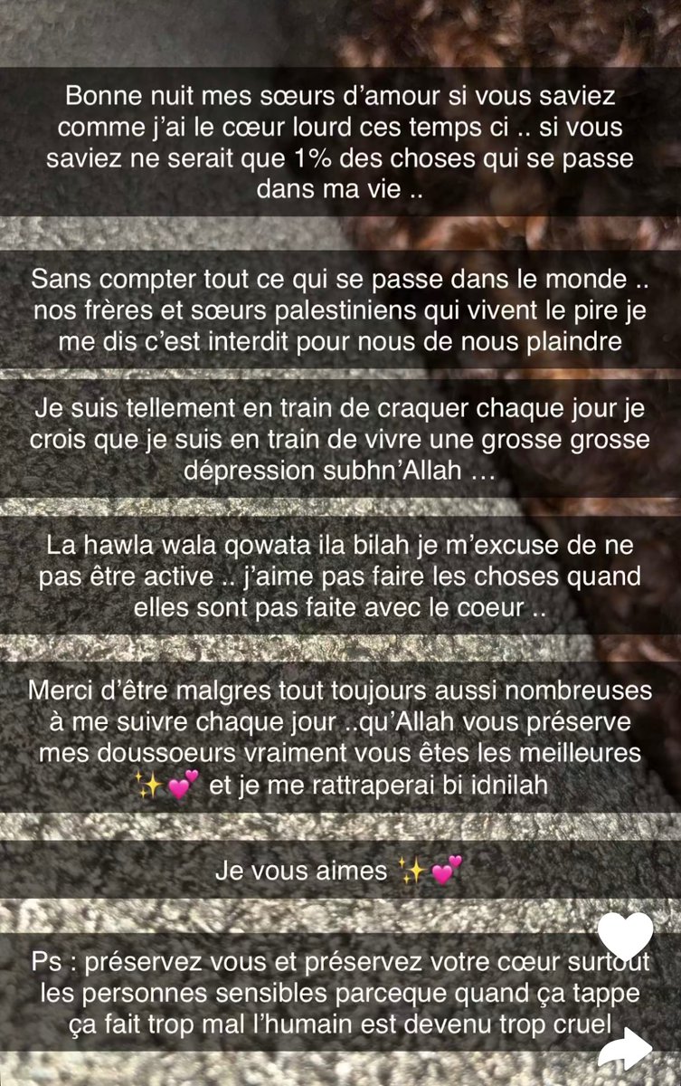 🌸 tweet media