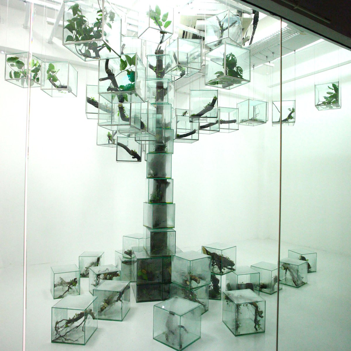 blankspac_e's tweet image. Trees, Takashi Kuribayashi (2015)