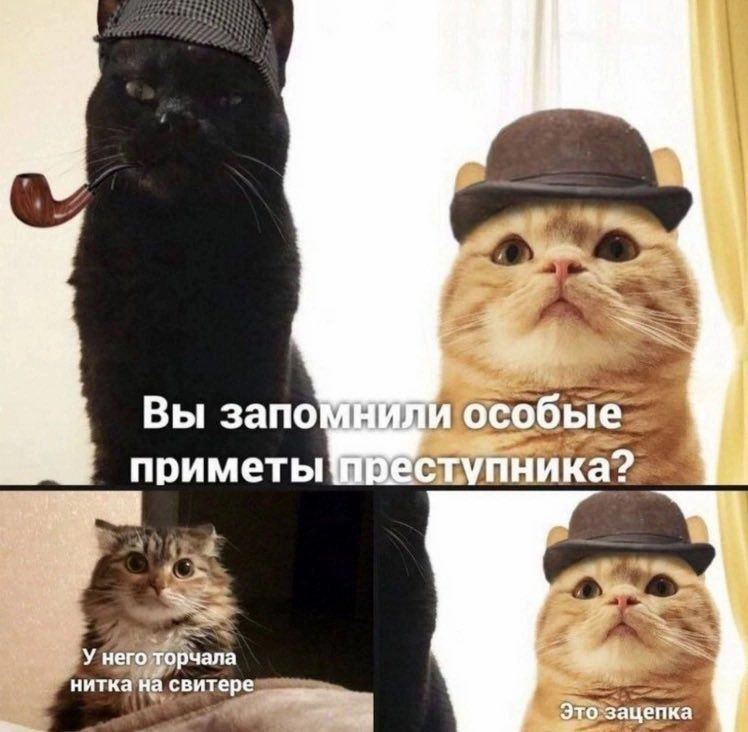 ALighthouseCat's tweet image. Последние четыре мема на моем телефоне
В это время суток не могу сказать что из этого следует