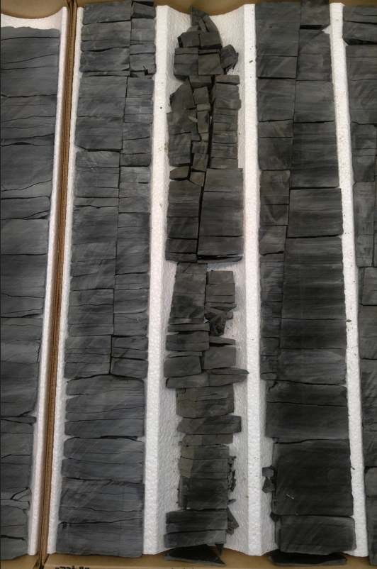 The West Shale Basin Duvernay has emerged as one of the most exciting light oil plays in North America. It represents significant production growth upside for Journey.

Image: Duvernay core samples taken from the heart of Journey's land position in Central AB.