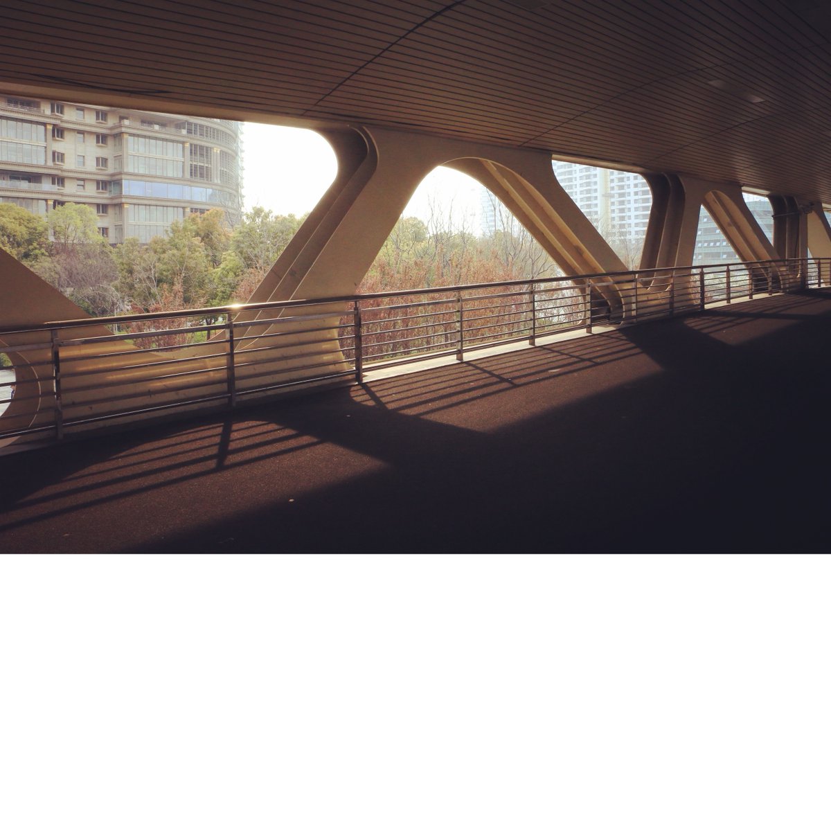 Crystal Chen (@crystal_chen_) on Twitter photo 