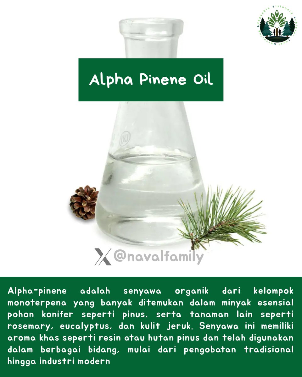 NavalFamily's tweet image. Kerja terbaik untuk rakyat Indonesia, Naval Group menyediakan produk Alpha-Pinene: Senyawa alami dari minyak terpentin dengan aroma khas hutan pinus.
Bau segar, manfaat segudang : dari parfum hingga produk kesehatan!
Inovasi alami, solusi multi-fungsi.
#AlphaPinene #TurpentineOil