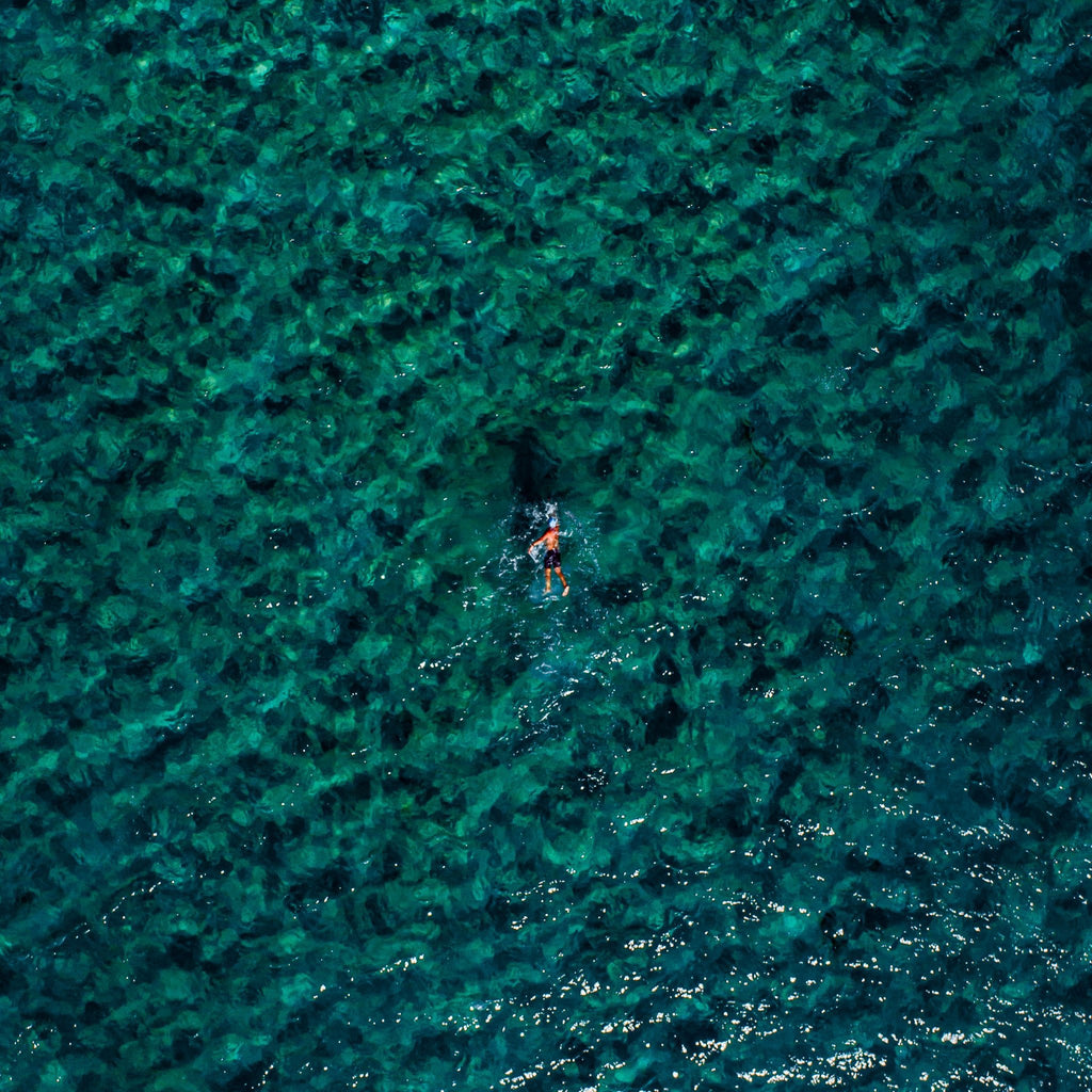 Kess Gallery tweet media