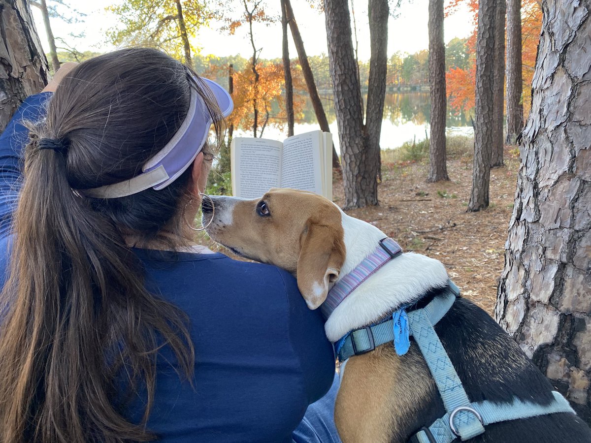 Kim Wise HamilŦon 📚🌺🌵🌮🏴‍☠️ tweet media