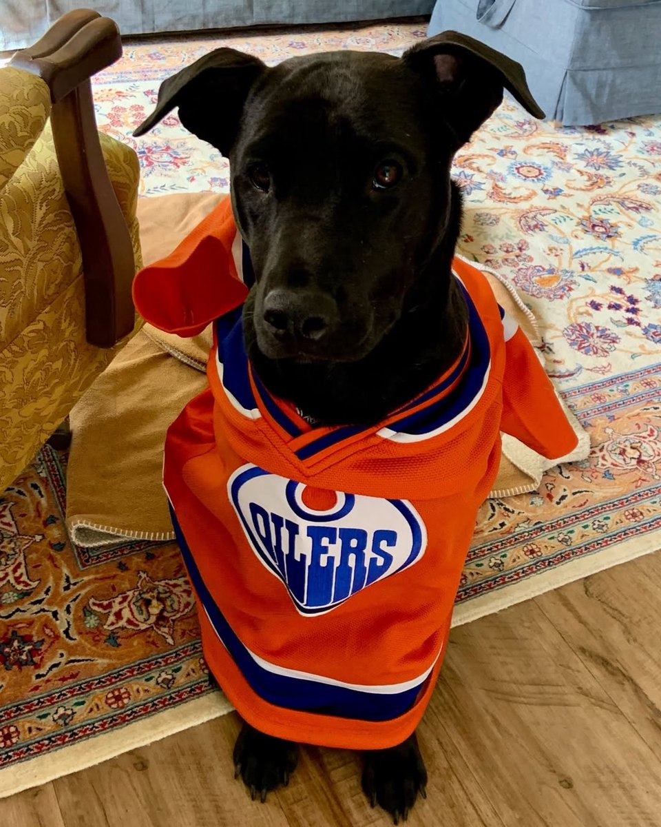 Digital Tea (@digitaltea) on Twitter photo These two are paws-itively pumped for puck drop! 🐾🏒
Joy & Pat are suited up in their finest <a href="/EdmontonOilers/">Edmonton Oilers</a> gear and ready to fetch a win tonight. Tail wags, treats, and playoff dreams — it’s game day, baby!
Let’s bark loud and cheer louder…GO OILERS GO! 🧡💙 #LetsGoOilers These two are paws-itively pumped for puck drop! 🐾🏒
Joy & Pat are suited up in their finest <a href="/EdmontonOilers/">Edmonton Oilers</a> gear and ready to fetch a win tonight. Tail wags, treats, and playoff dreams — it’s game day, baby!
Let’s bark loud and cheer louder…GO OILERS GO! 🧡💙 #LetsGoOilers