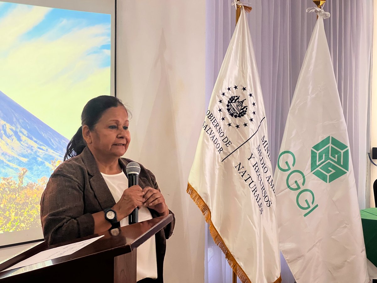 GGGI_CA's tweet photo. En El Salvador 🇸🇻 inició la primera jornada para el diseño de un sistema de Información para la gestión integral de residuos con instituciones públicas, como parte de las actividades de nuestro proyecto implementado junto a @MedioAmbienteSV y ANDRES, con fondos de @ndcpartnership https://t.co/IrhL3lo3SS