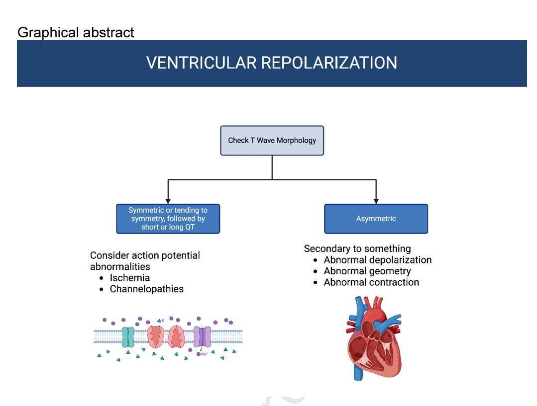 rksanti's tweet photo. 🏥ST segment and T wave abnormalities: A narrative review" (J. Electrocardiol, 2024)
🧵1/¿Quieres interpretar el ECG más allá de la isquemia?
Este artículo es una joya clínica 🫀: una guía práctica y profunda para entender las alteraciones del ST y la onda T más allá del infarto.
2/🔍 ¿Por qué importa este tema?
El ECG es mucho más que buscar isquemia.
👉 El segmento ST y la onda T pueden alterarse por:
• Canales iónicos
• Electrolitos
• Inflamación
• Trastornos genéticos
• Cambios mecánicos del corazón
🧠 ¡La repolarización es un universo!
3/📌 Clasificación clave:
Las alteraciones se dividen en:
🟥 Primarias: afectan directamente al potencial de acción ventricular
🟦 Secundarias: resultado de cambios en la despolarización o geometría cardíaca
🏥Esta distinción lo cambia TODO en la lectura del ECG.
4/🟥 Onda T primaria positiva
🔸Simétrica
🔸Base ancha
🔸Amplitud aumentada
🔸QT alterado
📌Ejemplos:
✅ Infarto agudo (ondas T hiperagudas)
✅ Hiperkalemia (onda T picuda)
✅ Pericarditis
✅ Cardioversión
✅ Canalopatías (LQTS)
5/🔥 ¿Sabías esto del infarto?
La primera manifestación en ECG no es la elevación del ST, sino la onda T hiperaguda:
✔ Alta
✔ Simétrica
✔ Base ancha
Se relaciona con la apertura de canales K+ (IKATP) por hipoxia y acidosis.
📈 ¡Cuidado clínico temprano!
6/⚠️ Hiperkalemia
Provoca ondas T:
✔ Altas
✔ Simétricas
✔ Base ESTRECHA (clave para diferenciarla del infarto)
👀 Visualízalas en V2-V4 y II-III.
A veces, también hay elevación del ST.
🧪 ¡Piensa en K+ cuando veas una T picuda!
7/🟪 Canalopatías
📌 LQTS: QT largo, ↑ Tp-e, ↑ Tp-e/QT
🔹 Tp-e/QT > 0.28 = riesgo de torsades
🔹 Importante en LQTS oculto
📌 Brugada: ST elevado en V1-V2, T negativa simétrica, ↑ dispersión de repolarización
🧬 ECG como herramienta genética
8/🟫 Pericarditis y Miocarditis
ST elevado en muchas derivaciones + T simétrica
🟡 Spodick sign (descenso del segmento PR)
⛔ No sigue territorios coronarios
👁️ ¡No confundas con STEMI!
Miocarditis también puede simular IAM
✔ ST elevado
✔ T negativas
9/🟦 Onda T primaria negativa
📌 Simétrica, profunda
📌 ST descendente
🎯 Ejemplos:
• Síndrome de Wellens
• Miocardiopatía de Takotsubo
• Stroke (ondas T cerebrales)
• Digitalis
• Brugada
• Canalopatías (LQT2, LQT3)
10/💥 Cerebral T wave = un hallazgo de alto impacto
🧠 Subaracnoidea o stroke → descarga adrenérgica → edema miocárdico
✔ Onda T negativa, profunda, simétrica
✔ QT prolongado
✔ Riesgo arrítmico alto en primeras 48h
🫀¡No es un IAM!
11/⚔️ Spiked Helmet Sign
ECG con elevación del ST en forma de casco alemán 🪖
🟣 Inicia ANTES del QRS
🟣 Refleja descarga simpática masiva
🟣 Se ve en estrés crítico: sepsis, hemorragias, TEP
¡Alerta roja! 🚨
12/🟨 Alteraciones secundarias de repolarización
📌 T asimétrica
📌 QT normal
📌 No afectan directamente el potencial de acción
🧩 Causas:
• Bloqueos de rama
• Hipertrofia ventricular
• Cardiopatías estructurales
• Pre-excitación
• Alteración de la contractilidad (TEP, aneurisma)
13/📈 Strain pattern (por HVI)
✔ T negativa, asimétrica
✔ ST descendido
✔ En derivaciones con QRS positivo (V5-V6)
✔ Evoluciona con la hipertrofia
¡Un patrón clásico que NO es isquemia!
14/💡 Tip clínico final:
¿La onda T es simétrica?
✔ Piensa en causas PRIMARIAS: infarto, canalopatía, pericarditis...
¿Es asimétrica?
✔ Piensa en causas SECUNDARIAS: bloqueo, HVI, geometría cardíaca...
🧠 El ECG se interpreta en CONTEXTO.
15/🩻 El ECG es una ventana al potencial de acción
👉 No es solo mirar ST⬆ o T⬇
👉 Es entender por qué se comporta así
Este artículo propone un enfoque sistemático 🧠
🔹 Primaria vs secundaria
🔹 Evaluar morfología
🔹 Integrar clínica + ECG
16/🔚 
La lectura del ECG de ST-T es mucho más que buscar infartos.
🔬 Requiere fisiología, morfología, contexto clínico.
🧠 Requiere un enfoque integrador, como propone este artículo.
📚DOI:10.1016/j.jelectrocard.2024.05.085
📚 Léelo completo aquí👇
✅https://t.co/YxwQci2Yo1
📲 Sígueme en X: @rksanti