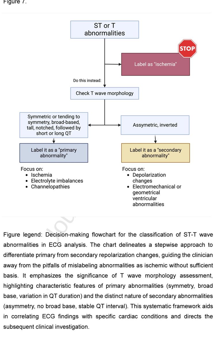 rksanti's tweet photo. 🏥ST segment and T wave abnormalities: A narrative review" (J. Electrocardiol, 2024)
🧵1/¿Quieres interpretar el ECG más allá de la isquemia?
Este artículo es una joya clínica 🫀: una guía práctica y profunda para entender las alteraciones del ST y la onda T más allá del infarto.
2/🔍 ¿Por qué importa este tema?
El ECG es mucho más que buscar isquemia.
👉 El segmento ST y la onda T pueden alterarse por:
• Canales iónicos
• Electrolitos
• Inflamación
• Trastornos genéticos
• Cambios mecánicos del corazón
🧠 ¡La repolarización es un universo!
3/📌 Clasificación clave:
Las alteraciones se dividen en:
🟥 Primarias: afectan directamente al potencial de acción ventricular
🟦 Secundarias: resultado de cambios en la despolarización o geometría cardíaca
🏥Esta distinción lo cambia TODO en la lectura del ECG.
4/🟥 Onda T primaria positiva
🔸Simétrica
🔸Base ancha
🔸Amplitud aumentada
🔸QT alterado
📌Ejemplos:
✅ Infarto agudo (ondas T hiperagudas)
✅ Hiperkalemia (onda T picuda)
✅ Pericarditis
✅ Cardioversión
✅ Canalopatías (LQTS)
5/🔥 ¿Sabías esto del infarto?
La primera manifestación en ECG no es la elevación del ST, sino la onda T hiperaguda:
✔ Alta
✔ Simétrica
✔ Base ancha
Se relaciona con la apertura de canales K+ (IKATP) por hipoxia y acidosis.
📈 ¡Cuidado clínico temprano!
6/⚠️ Hiperkalemia
Provoca ondas T:
✔ Altas
✔ Simétricas
✔ Base ESTRECHA (clave para diferenciarla del infarto)
👀 Visualízalas en V2-V4 y II-III.
A veces, también hay elevación del ST.
🧪 ¡Piensa en K+ cuando veas una T picuda!
7/🟪 Canalopatías
📌 LQTS: QT largo, ↑ Tp-e, ↑ Tp-e/QT
🔹 Tp-e/QT > 0.28 = riesgo de torsades
🔹 Importante en LQTS oculto
📌 Brugada: ST elevado en V1-V2, T negativa simétrica, ↑ dispersión de repolarización
🧬 ECG como herramienta genética
8/🟫 Pericarditis y Miocarditis
ST elevado en muchas derivaciones + T simétrica
🟡 Spodick sign (descenso del segmento PR)
⛔ No sigue territorios coronarios
👁️ ¡No confundas con STEMI!
Miocarditis también puede simular IAM
✔ ST elevado
✔ T negativas
9/🟦 Onda T primaria negativa
📌 Simétrica, profunda
📌 ST descendente
🎯 Ejemplos:
• Síndrome de Wellens
• Miocardiopatía de Takotsubo
• Stroke (ondas T cerebrales)
• Digitalis
• Brugada
• Canalopatías (LQT2, LQT3)
10/💥 Cerebral T wave = un hallazgo de alto impacto
🧠 Subaracnoidea o stroke → descarga adrenérgica → edema miocárdico
✔ Onda T negativa, profunda, simétrica
✔ QT prolongado
✔ Riesgo arrítmico alto en primeras 48h
🫀¡No es un IAM!
11/⚔️ Spiked Helmet Sign
ECG con elevación del ST en forma de casco alemán 🪖
🟣 Inicia ANTES del QRS
🟣 Refleja descarga simpática masiva
🟣 Se ve en estrés crítico: sepsis, hemorragias, TEP
¡Alerta roja! 🚨
12/🟨 Alteraciones secundarias de repolarización
📌 T asimétrica
📌 QT normal
📌 No afectan directamente el potencial de acción
🧩 Causas:
• Bloqueos de rama
• Hipertrofia ventricular
• Cardiopatías estructurales
• Pre-excitación
• Alteración de la contractilidad (TEP, aneurisma)
13/📈 Strain pattern (por HVI)
✔ T negativa, asimétrica
✔ ST descendido
✔ En derivaciones con QRS positivo (V5-V6)
✔ Evoluciona con la hipertrofia
¡Un patrón clásico que NO es isquemia!
14/💡 Tip clínico final:
¿La onda T es simétrica?
✔ Piensa en causas PRIMARIAS: infarto, canalopatía, pericarditis...
¿Es asimétrica?
✔ Piensa en causas SECUNDARIAS: bloqueo, HVI, geometría cardíaca...
🧠 El ECG se interpreta en CONTEXTO.
15/🩻 El ECG es una ventana al potencial de acción
👉 No es solo mirar ST⬆ o T⬇
👉 Es entender por qué se comporta así
Este artículo propone un enfoque sistemático 🧠
🔹 Primaria vs secundaria
🔹 Evaluar morfología
🔹 Integrar clínica + ECG
16/🔚 
La lectura del ECG de ST-T es mucho más que buscar infartos.
🔬 Requiere fisiología, morfología, contexto clínico.
🧠 Requiere un enfoque integrador, como propone este artículo.
📚DOI:10.1016/j.jelectrocard.2024.05.085
📚 Léelo completo aquí👇
✅https://t.co/YxwQci2Yo1
📲 Sígueme en X: @rksanti