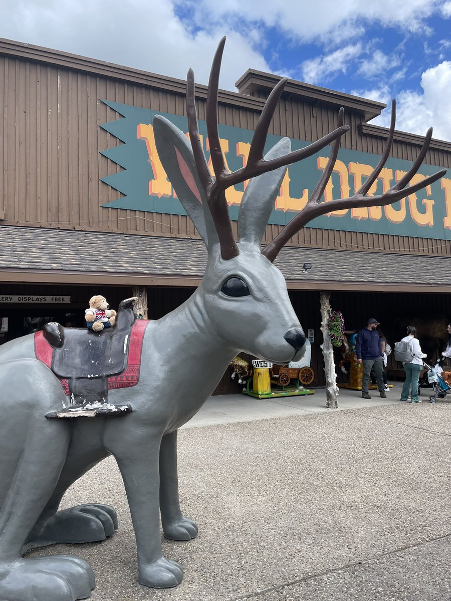 AltheBear3's tweet photo. It stopped raining ๐! Badlands NP was spectacular with super rock formations and fun trails. Then I made friends with the ever elusive jackalope at Wall Drug. @BadlandsNPS #badlands @southdakota @WallDrug #walldrug https://t.co/BWqKAIYbyR