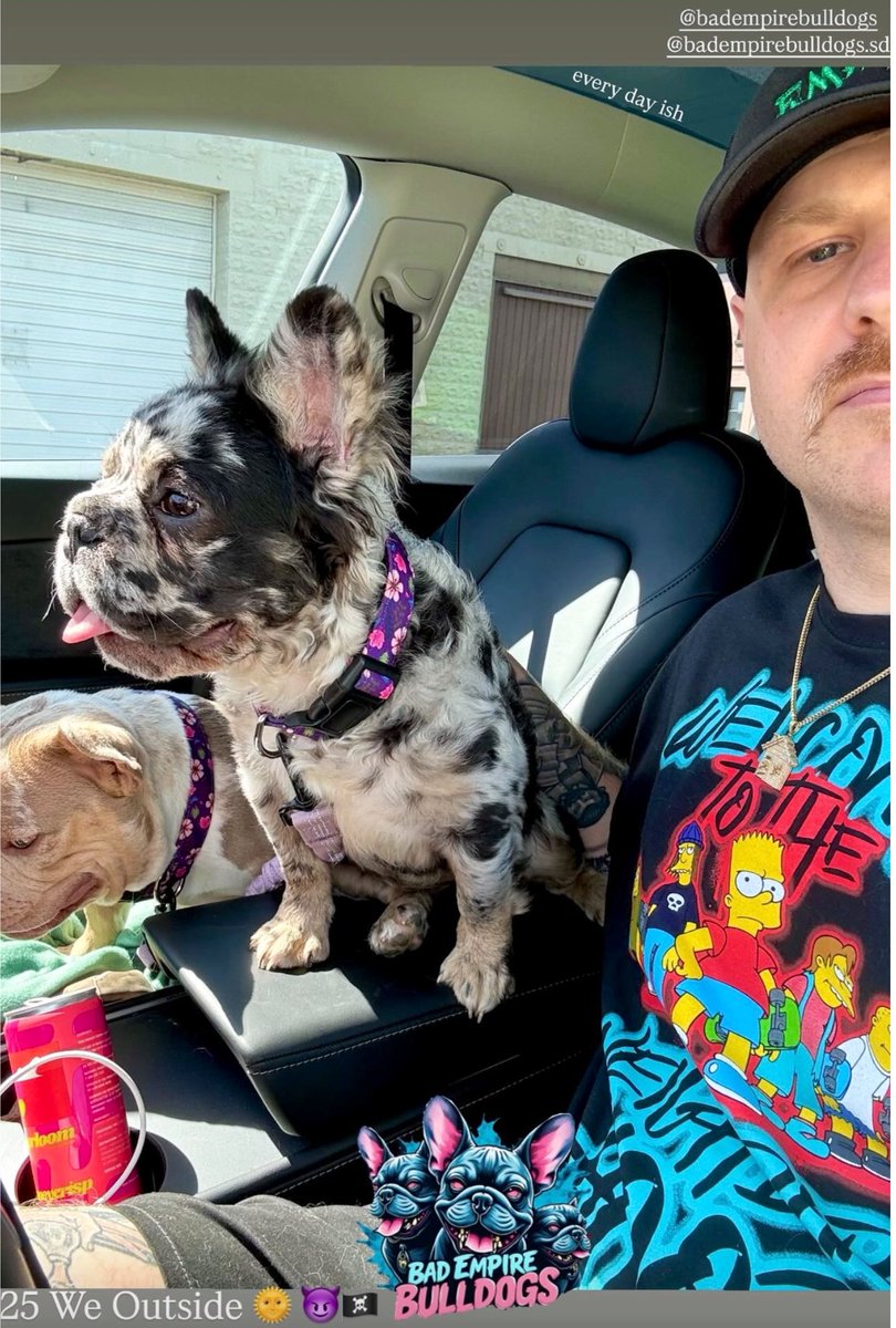 Got Bored 

&amp; took some time away from the market… to create our own.

Bad Empire Bulldogs   #Breddiff 😈🏴‍☠️
We’re on the Cutting Edge Kids