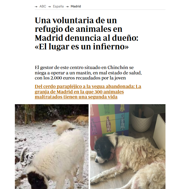 Frank Cuesta utilizó al dueño d un santuario en un directo para atacar a la veterinaria <a href="/djvegan__/">Dj Vegan</a> pq le criticó, dijo q "JO hará un vídeo", incitando al odio contra ella 
Artículo dl ABC sobre el dueño: #ULTIMAHORA #frankcuesta #FraudeCuesta #Animal 

⤵️
abc.es/espana/madrid/…