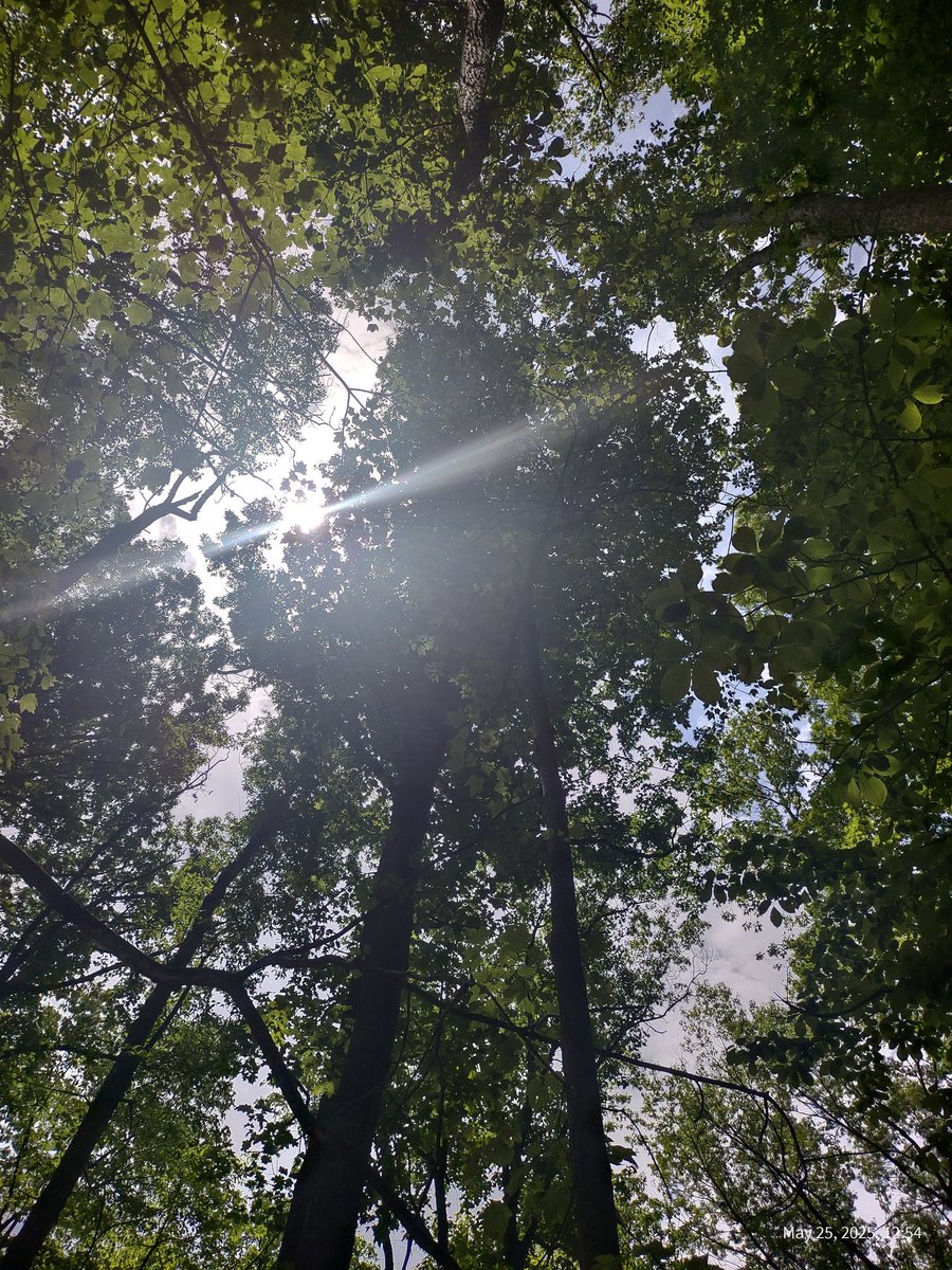 colekanephoenix's tweet photo. Well WV you have treated me amazingly these last 40 years, but now it's actually time to move on to another place, another world, and build a happy life. Especially with two friends who literally love me for who I am. I am finding my family, my tribe. 💖✨💖 Hello Pitts PA! https://t.co/gMoJBt5bxf