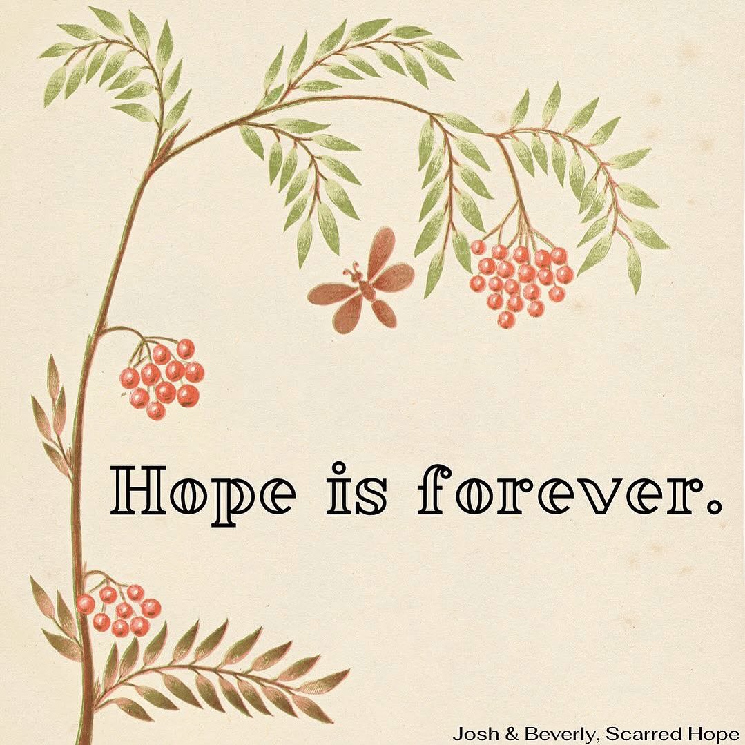 Wise CCC tweet media