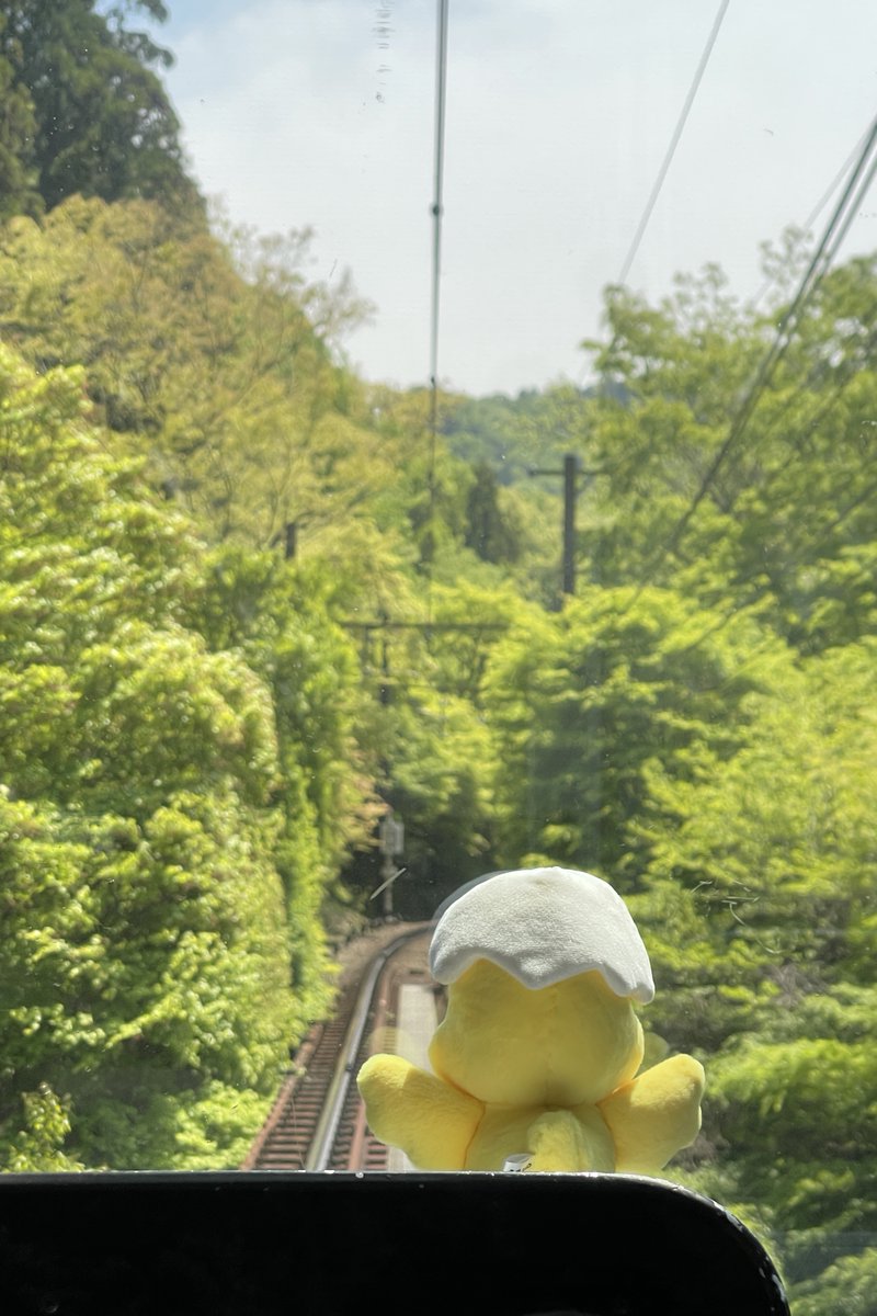 「#たべっ子どうぶつTHEMOVIE」コラボ企画のキャラクター紹介

第6回
今日は、展望列車「きらら」に乗っている「ひよこちゃん」です！
ひよこちゃんと一緒に「きらら」に乗って、青もみじの景色を楽しもう♪
見つけたら、ぜひ写真を撮ってSNSでシェアしてね

#叡山電車 #映画たべっ子どうぶつ