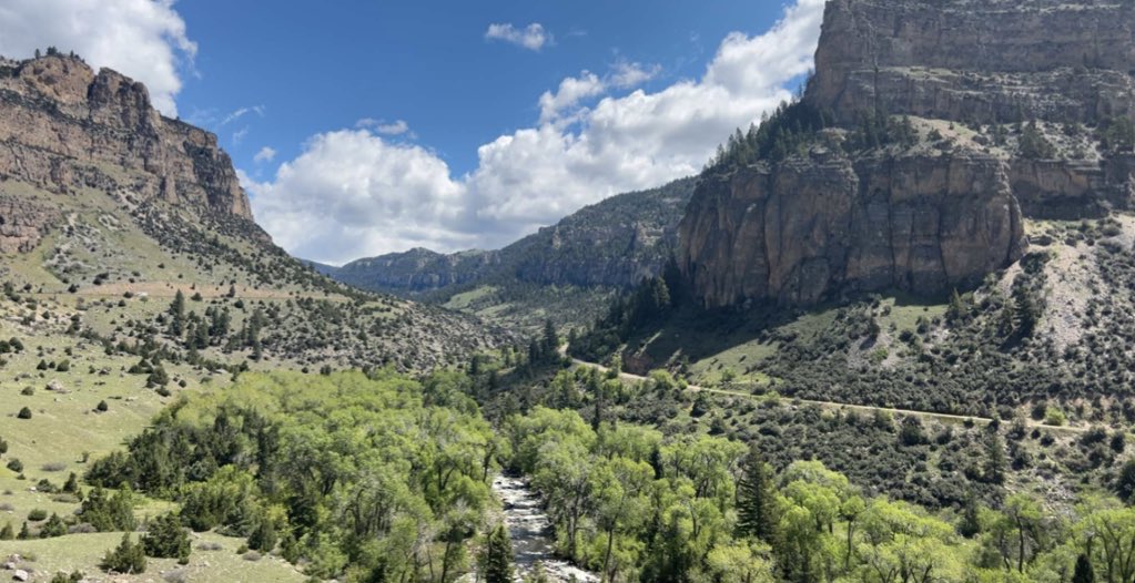 Jake McNeill tweet media