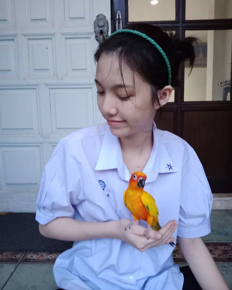 LoMuangs1's tweet image. เดาสถานการณ์ ความเป็นมาของ “อาบู”
-เหตุการณ์ต้นต่อ น่าจะมาจะแฟนไซด์ ที่ออมบอกว่าจะแอบแม่ก้อย เลี้ยงนก แล้ว หลิงเก็บข้อมูล
-แล้วประจวบเหมาะที่เจ้จันจิ อยากเลี้ยงนกแก้ว เลยไปขอคำปรึกษาจาก ออม ออมคนที่เคยเลี้ยงนกแก้วมาก่อน ก็ให้คำปรึกษาเรื่องนกแก้ว จนได้ “ฟิโอล่า”มา…