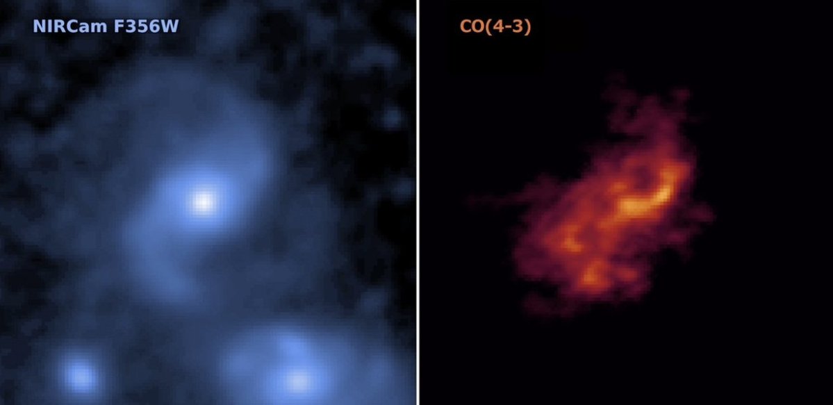 ALMA Observatory📡 (@almaobs) on Twitter photo 📡ALMA and <a href="/NASAWebb/">NASA Webb Telescope</a> <a href="/ESA_Webb/">ESA Webb Telescope</a> 🛰️! A fierce storm in a giant barred spiral galaxy 11 billion years ago.
🌀Galaxy J0107a
📍Distance: 11.1 billion years ago.
⬅️: Infrared by James Webb.
➡️: Molecular gas distribution by ALMA
almaobservatory.org/en/press-relea… 📡ALMA and <a href="/NASAWebb/">NASA Webb Telescope</a> <a href="/ESA_Webb/">ESA Webb Telescope</a> 🛰️! A fierce storm in a giant barred spiral galaxy 11 billion years ago.
🌀Galaxy J0107a
📍Distance: 11.1 billion years ago.
⬅️: Infrared by James Webb.
➡️: Molecular gas distribution by ALMA
almaobservatory.org/en/press-relea…