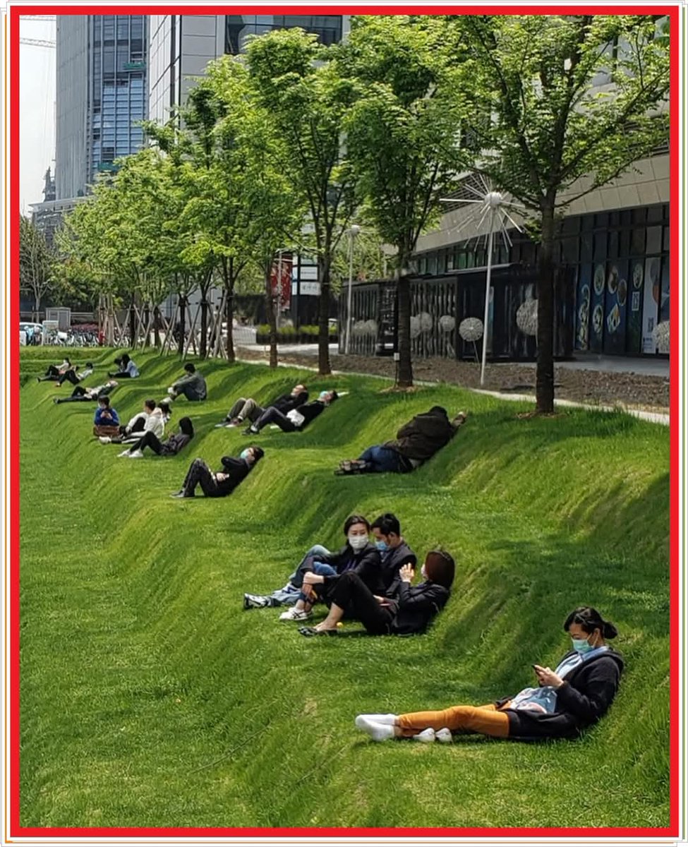 Нэг ийм зав зайгаараа очоод амарчихдаг, цайны цагаараа нарлах зүлэг модтой орчинтой болхымсоооооо