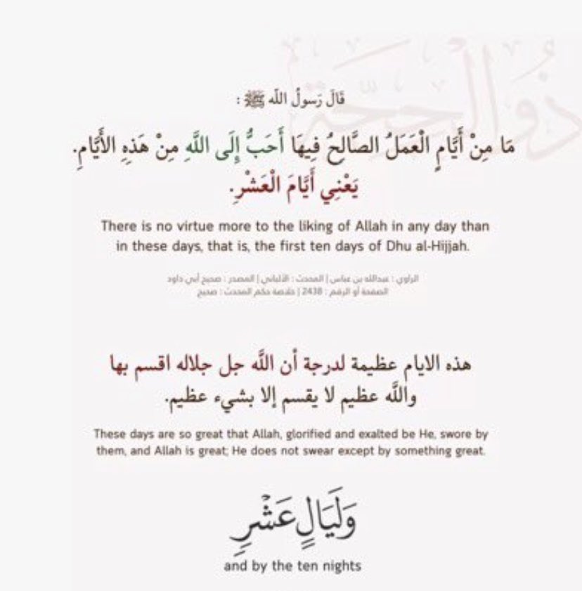☪︎اللهم رضاك والجنه tweet media