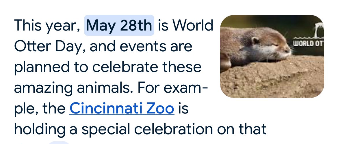 sungtarofeed's tweet photo. this sungtaro multiverse is real where Hamburger Day 🍔and Otter Day 🦦colliding like fate 😂😭 https://t.co/8OCF77NJja