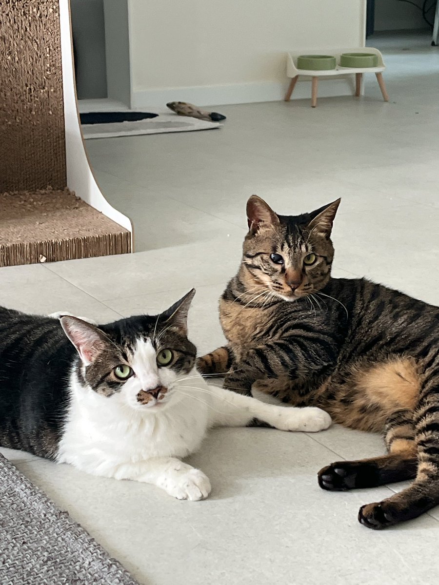 야 쟤내 또 싸운다