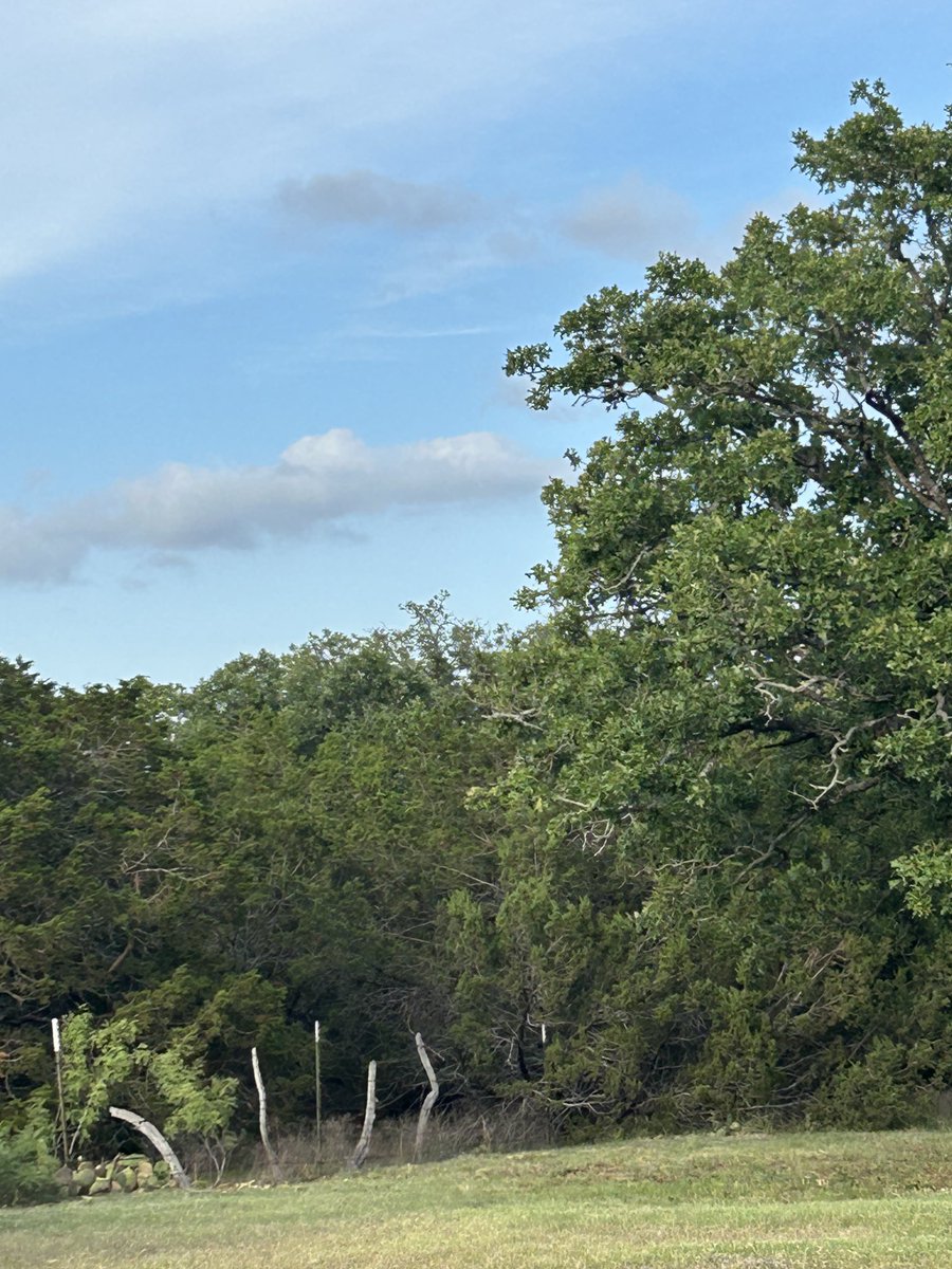 Beautiful “close to the Heart ♥️ of Texas”evening . Cool 70 degree weather, gentle breeze, song 🎶 birds serenading the day away.