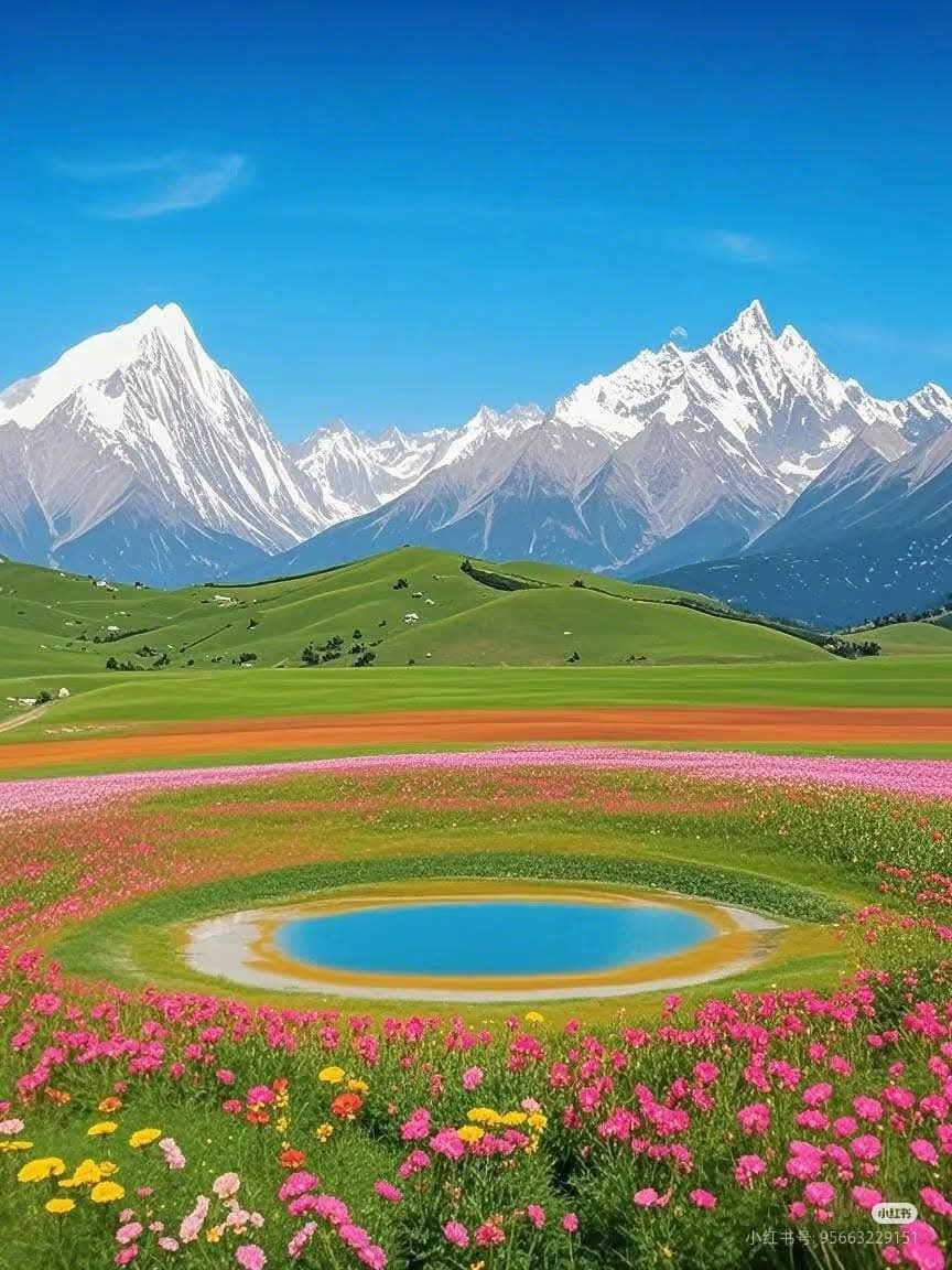 川西的夏天，色彩斑斓