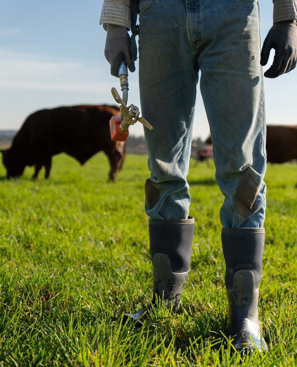 Bogs Footwear tweet media