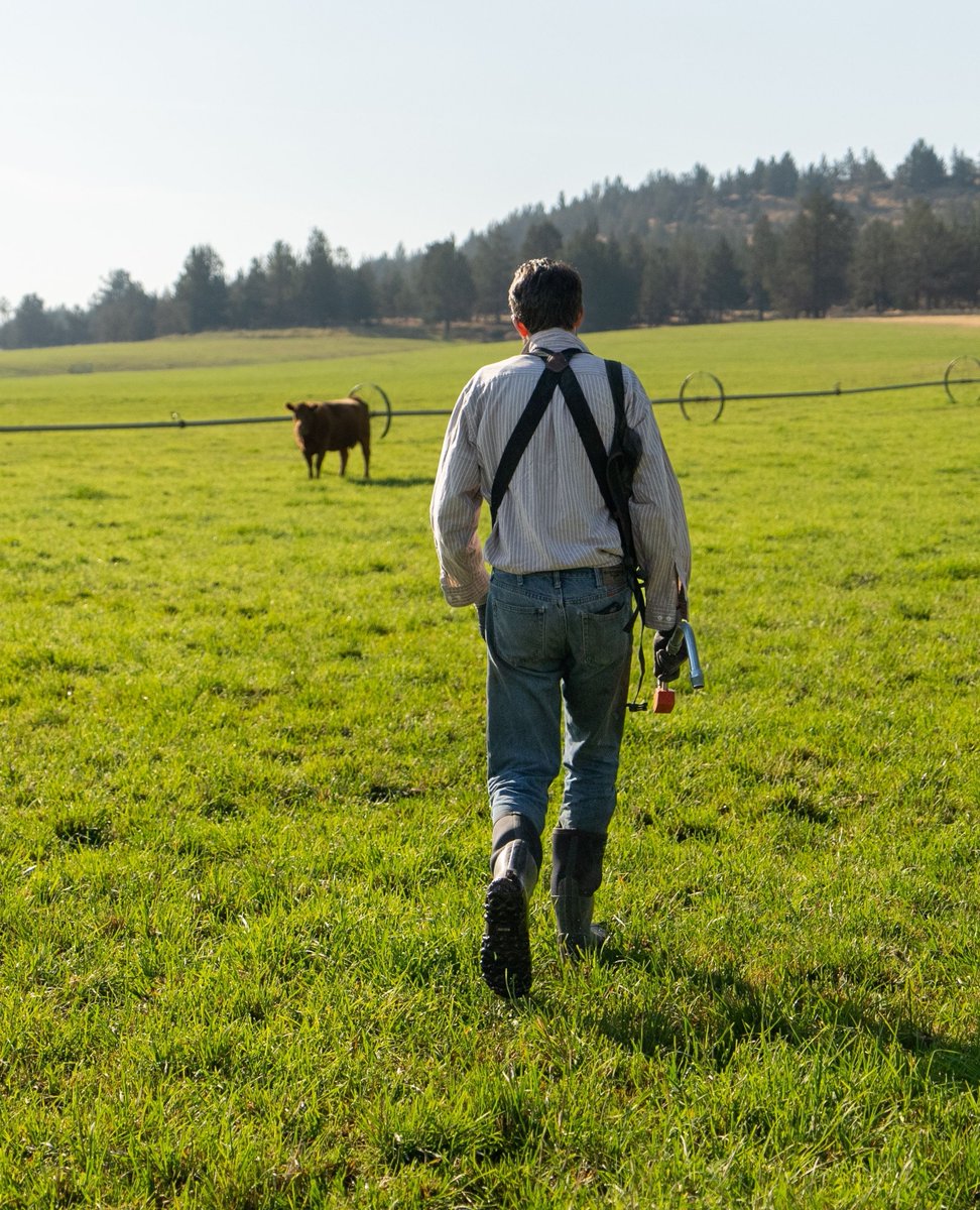 Bogs Footwear tweet media