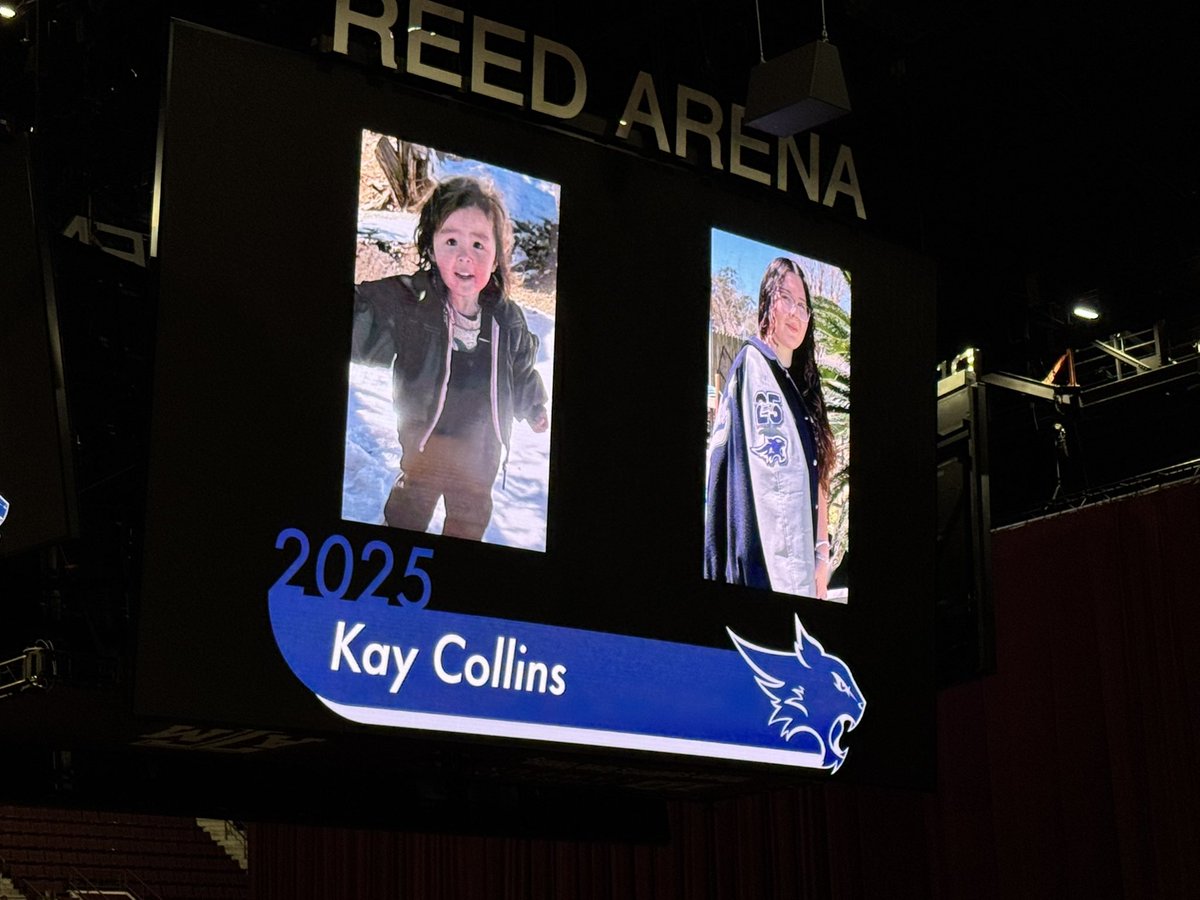 Jennifer Collier tweet media