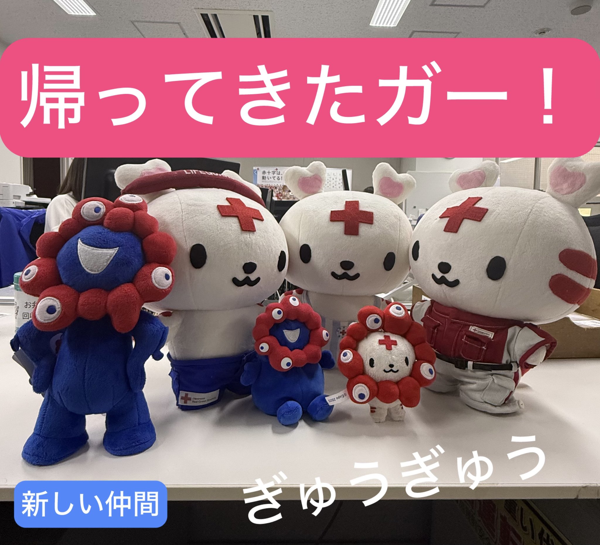 日本赤十字社 神奈川県支部 on X: 