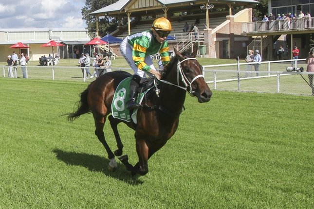 Racing NSW (@racing_nsw) on Twitter photo "Her race smarts in her first start were quite good and theyβre only going to improve."
Calico Miss impressed Stirling Osland with her debut win and he's confident she can back it up at Inverell on Thursday. πΈ <a href="/Bradley_Photos/">Bradley Photos</a>
READ: tinyurl.com/3abj5aep "Her race smarts in her first start were quite good and theyβre only going to improve."
Calico Miss impressed Stirling Osland with her debut win and he's confident she can back it up at Inverell on Thursday. πΈ <a href="/Bradley_Photos/">Bradley Photos</a>
READ: tinyurl.com/3abj5aep