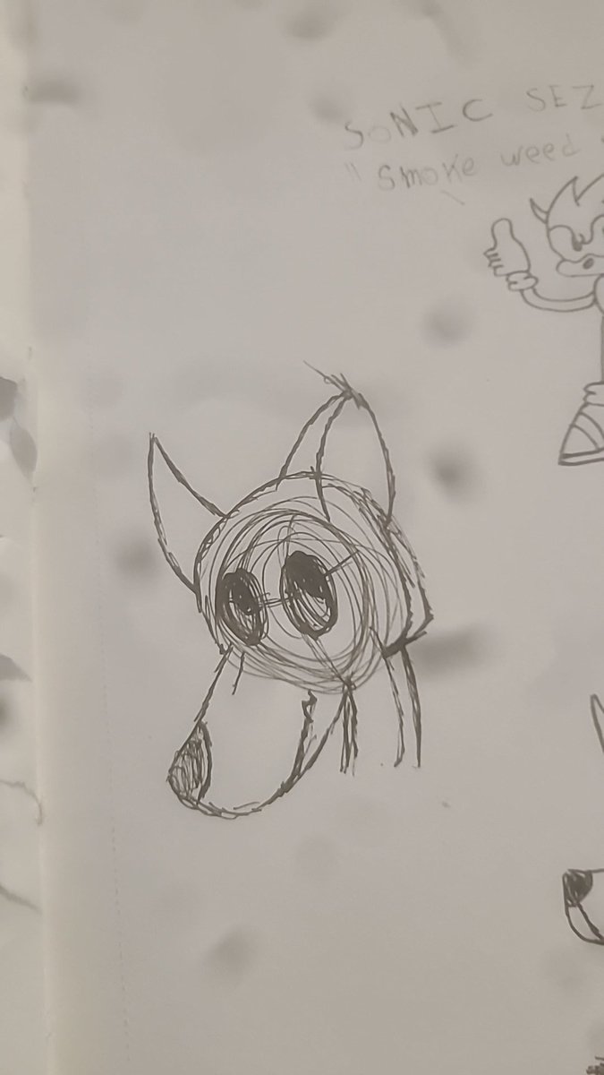 kimi fox tweet media