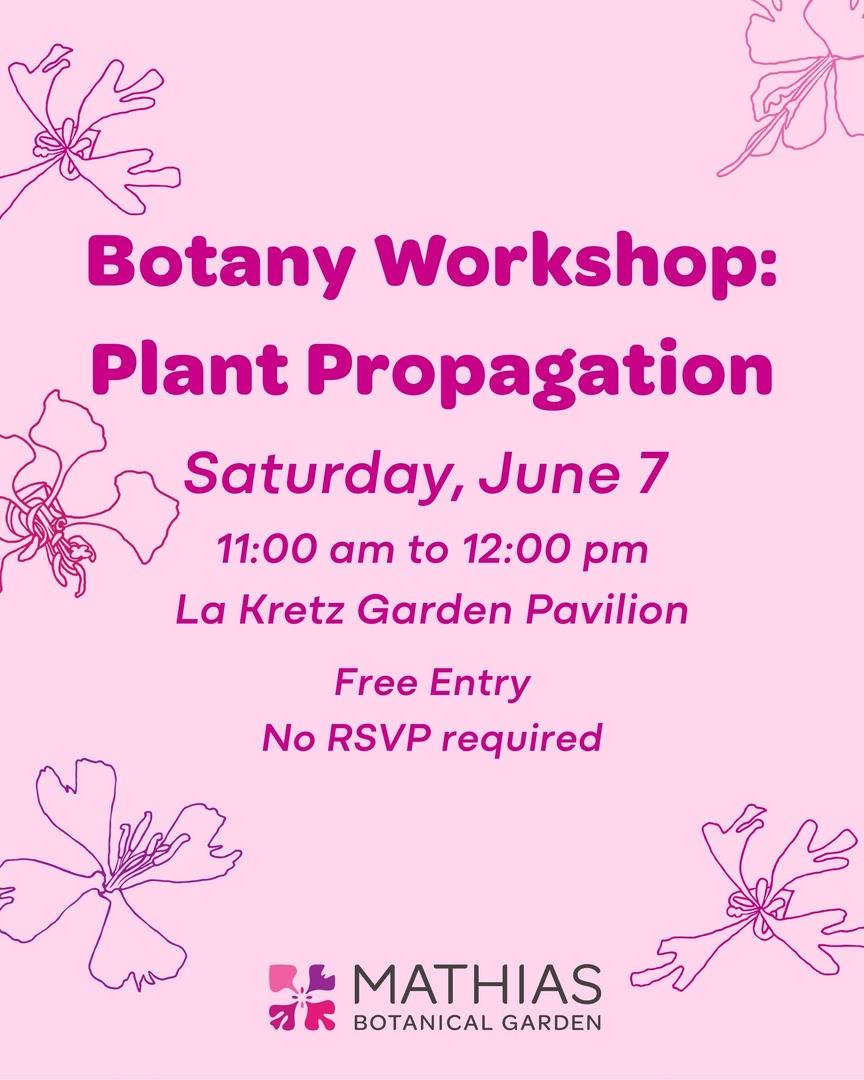 Looking to take your garden to the next level? Join Museum Scientist Mathew Southall on June 7 for this free workshop all about plant propagation, no RSVP required! 🌱🌸