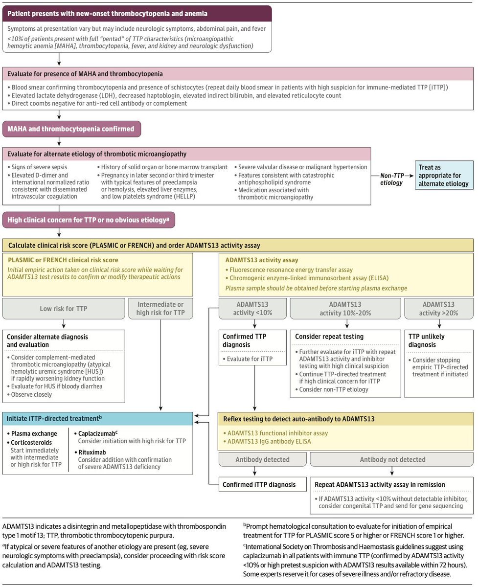 #Hematología #MedicinaInterna
Algoritmo  diagnóstico inicial para pacientes con sospecha de púrpura trombocitopénica trombótica.

JAMA. 2025. doi:10.1001/jama.2025.3807
