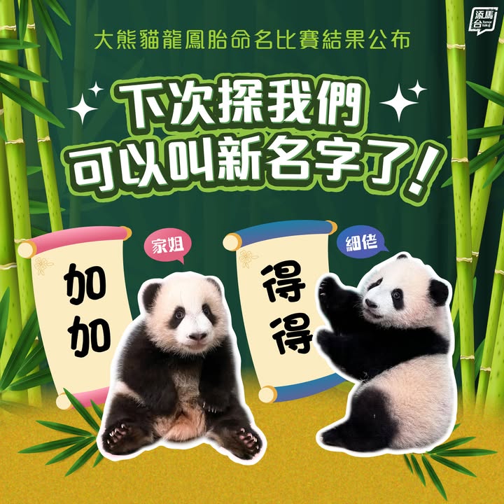 OfficeTonychau's tweet photo. Join the #HKFamilyExcellence Awards! Share how your family builds strong bonds and faces challenges together with a story &amp; up to 5 photos. Win Ocean Park tickets, hotel stays &amp; more! Deadline: June 27, 2025. Details &amp; apply here: https://t.co/BXXlFTmGMO #FamilyStories #Love https://t.co/IbqelJ1XCy