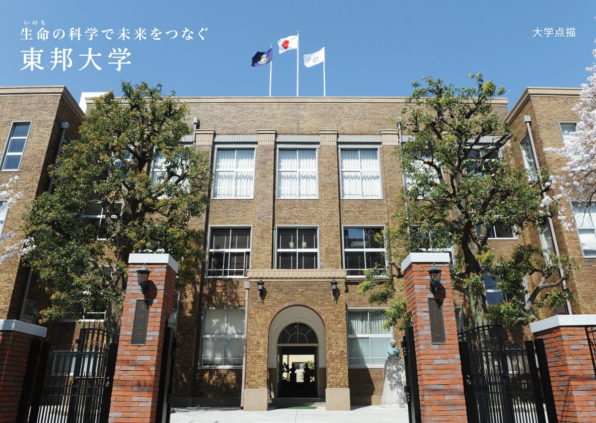東邦大学 橋本 りゅう也👀網膜硝子体手術 Ryuya HASHIMOTO MD PhD