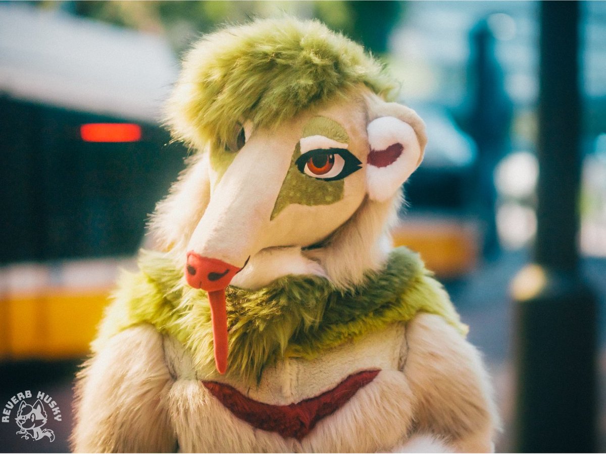 Salsa_Anteater's tweet image. 🌿 Page Introduction
• Anteater Fanatic
• Faux Fur Enthusiast
- I made my own suit, but I do not take fursuit commissions 💔
• Amateur furry artist
🌿
Ref by me
Photo by @ReverbHusky
Art by @JZBTHX and @thatcolliejuno 💚