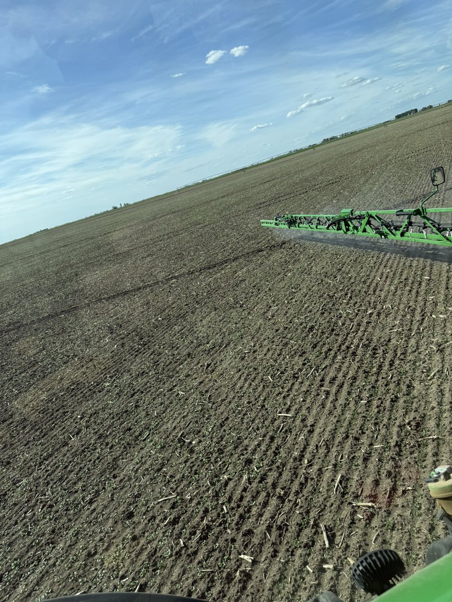 Hybred canola sprayed.   Guys are spraying pre emerge on potatoes.  Power hillers still going.  And ready to kick on more pivots.   #AgTwitter