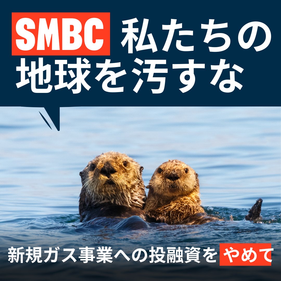 Market Forces (@market_forces) on Twitter photo 今日は #世界カワウソの日 🦦
<a href="/smbc_midosuke/">三井住友銀行 公式(ミドすけ)</a> の可愛いカワウソのキャラクターは、笑顔で愛想をふりまいています。でも実はその裏で、地球温暖化につながるガス事業への投融資を続けているのです。
カワウソにとっても、私たちにとっても、悲しい話🌍🔥 今日は #世界カワウソの日 🦦
<a href="/smbc_midosuke/">三井住友銀行 公式(ミドすけ)</a> の可愛いカワウソのキャラクターは、笑顔で愛想をふりまいています。でも実はその裏で、地球温暖化につながるガス事業への投融資を続けているのです。
カワウソにとっても、私たちにとっても、悲しい話🌍🔥