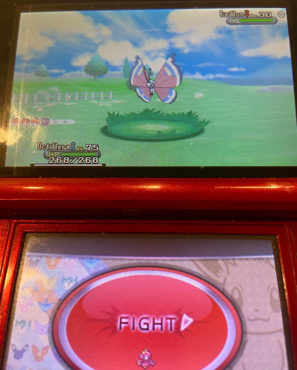 OBreloom's tweet photo. Shiny Vivillion at 33 encounters from the Friend Safari!! IVs are maxed at HP and Sp. Atk since its from the FS for those wondering!! https://t.co/rFskrNLxOg