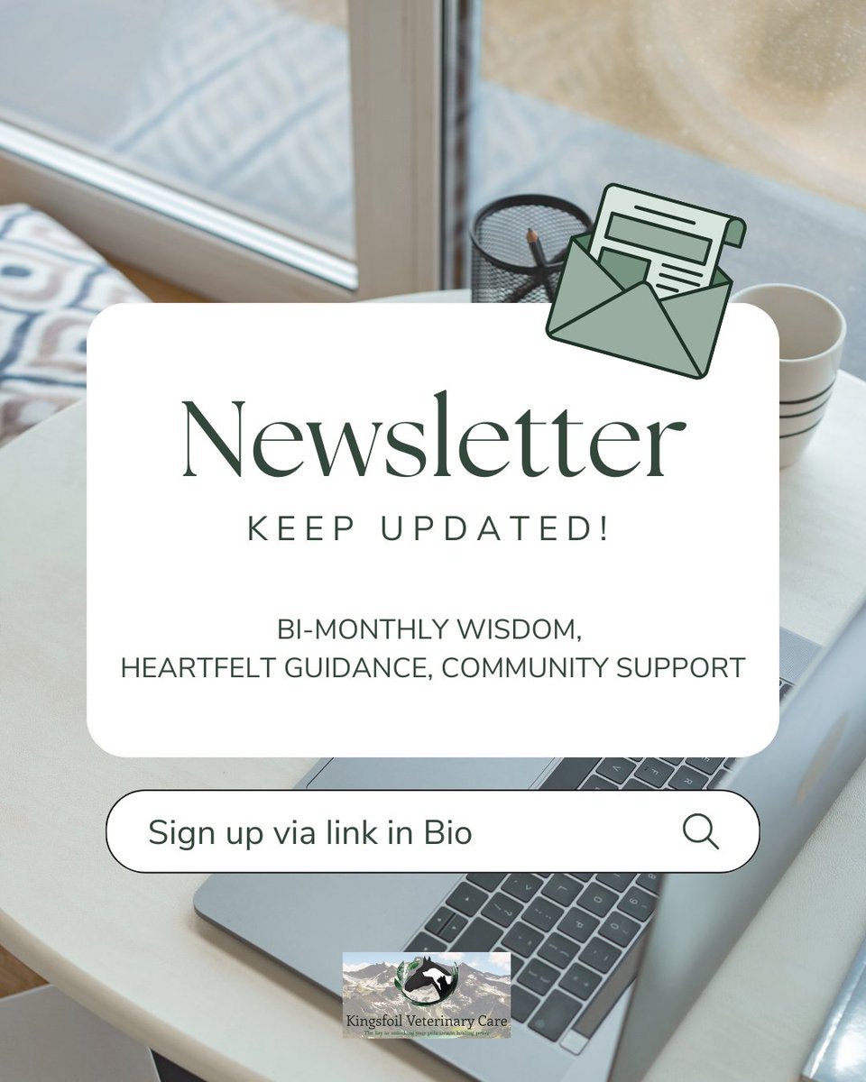 KingsfoilV's tweet image. Ready to deepen your understanding of your pet's health and well-being? Click the link in our bio and sign up for our bi-monthly email list today! 🐾💚 

linktr.ee/kingsfoil.vet

#WholePetCare #DeeperConnection #EmailList #PetWellness