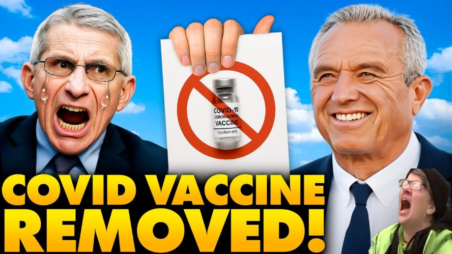 Steve ULTRA MAGA (@steve7317532777) on Twitter photo ๐บ๐ธMAGA TUESDAY TRAIN๐บ๐ธ๐RT/FOLLOW ALLโ
<a href="/coach_jv112/">Coach JV</a>
<a href="/ConnectPatriots/">Patriot Connections</a>
<a href="/rkron1961/">rkron1961</a>
<a href="/Sugarsnapthese/">Sugarsnap1</a>
<a href="/PlainDeplorable/">ChristinaBistes</a>
<a href="/loveDad303/">Racheal Troy</a>
<a href="/Goldstarmom2008/">Goldstarmom</a>
<a href="/WingsUplifted/">flightrn</a>
<a href="/TampaBarbie_813/">Nicole Brey ๐
๐ฆ</a>
<a href="/ThePodcastChef/">The Podcast Chef</a>
<a href="/snooze06155136/">snooze</a>
<a href="/PatriotTomV/">Patriot for Christ ๐๐ป๐๐ซ๐บ๐ฒ๐ต๐ฑ๐๐ฉธโ๏ธ</a>
<a href="/STownsend8475/">Stephen James Townsend</a>
<a href="/MarkMeadowsp/">Mark Meadows</a>
<a href="/larrynaltman/">ATrumpDeplorable</a>
<a href="/jpoconnor717/">James O'Connor</a> ๐บ๐ธMAGA TUESDAY TRAIN๐บ๐ธ๐RT/FOLLOW ALLโ
<a href="/coach_jv112/">Coach JV</a>
<a href="/ConnectPatriots/">Patriot Connections</a>
<a href="/rkron1961/">rkron1961</a>
<a href="/Sugarsnapthese/">Sugarsnap1</a>
<a href="/PlainDeplorable/">ChristinaBistes</a>
<a href="/loveDad303/">Racheal Troy</a>
<a href="/Goldstarmom2008/">Goldstarmom</a>
<a href="/WingsUplifted/">flightrn</a>
<a href="/TampaBarbie_813/">Nicole Brey ๐
๐ฆ</a>
<a href="/ThePodcastChef/">The Podcast Chef</a>
<a href="/snooze06155136/">snooze</a>
<a href="/PatriotTomV/">Patriot for Christ ๐๐ป๐๐ซ๐บ๐ฒ๐ต๐ฑ๐๐ฉธโ๏ธ</a>
<a href="/STownsend8475/">Stephen James Townsend</a>
<a href="/MarkMeadowsp/">Mark Meadows</a>
<a href="/larrynaltman/">ATrumpDeplorable</a>
<a href="/jpoconnor717/">James O'Connor</a>