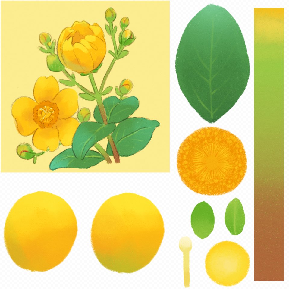 そちペンワークショップ