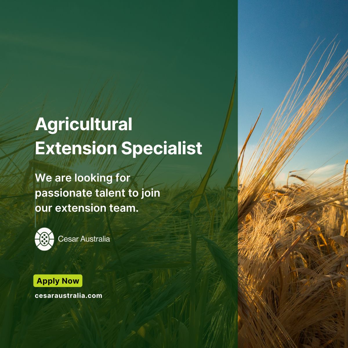 We are hiring!

We are on the search for an Agricultural Extension Specialist who is enthusiastic about sustainability and has a talent for fostering transformation. 

If this sounds like you, apply or share with your network here:
buff.ly/cdJGyRr