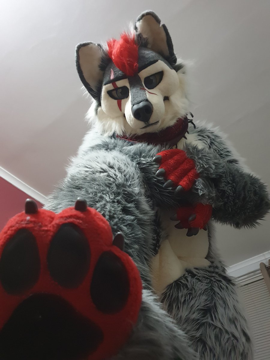 Also as an added bonus a proper #pawday picture

Caption "I put my paw on you, now your miiiine" 🎶