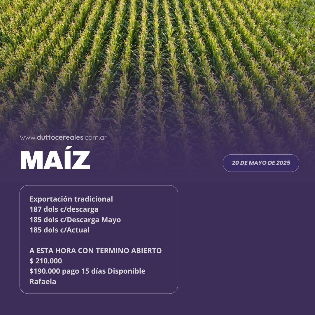 #Mercados | 20/05- Maíz🌾

🔸¡Mantente al tanto de las últimas cifras del mercado agropecuario con nosotros!

✅Agenda este nro. +𝟱𝟰 𝟵 𝟯𝟰𝟮𝟰 𝟮𝟮-𝟲𝟭𝟴𝟴 y hace tu consulta de manera rápida y fácil 😄👌

#MercadosEnPerspectiva #Trigo #DuttoCereales #soja #maiz #girasol